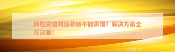 微粒贷逾期还款后不能再借？解决方案全在这里！