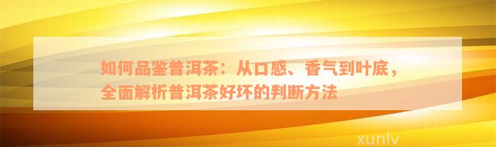 如何品鉴普洱茶：从口感、香气到叶底，全面解析普洱茶好坏的判断方法