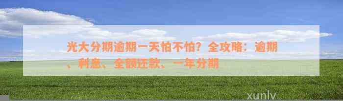 光大分期逾期一天怕不怕？全攻略：逾期、利息、全额还款、一年分期