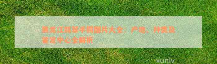 黑龙江翡翠手镯图片大全：产地、种类及鉴定中心全解析