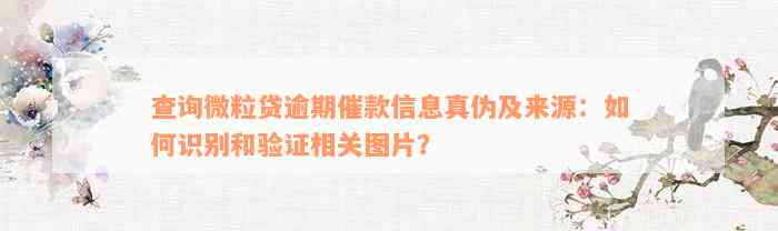 查询微粒贷逾期催款信息真伪及来源：如何识别和验证相关图片？