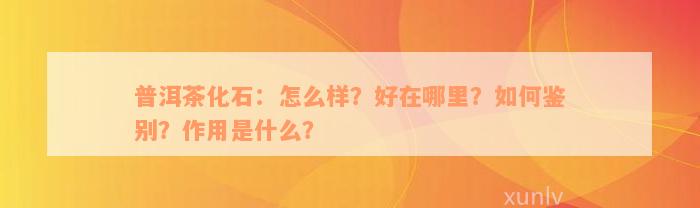 普洱茶化石：怎么样？好在哪里？如何鉴别？作用是什么？