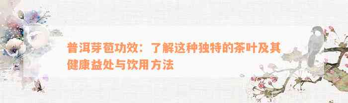 普洱芽苞功效：了解这种独特的茶叶及其健康益处与饮用方法