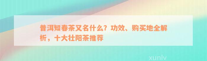 普洱知春茶又名什么？功效、购买地全解析，十大壮阳茶推荐