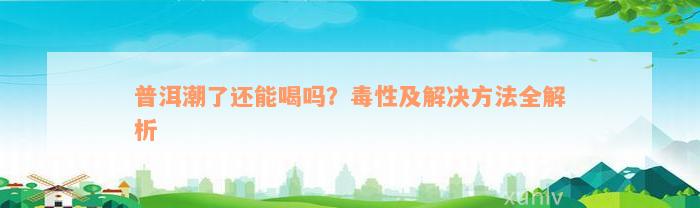 普洱潮了还能喝吗？毒性及解决方法全解析