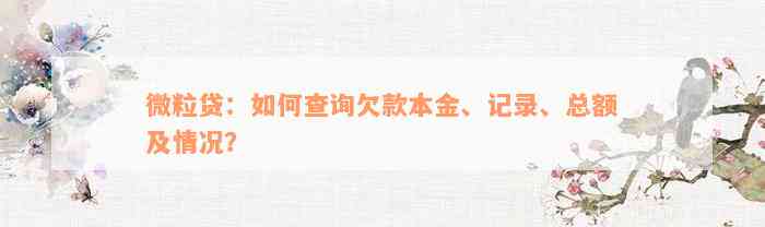 微粒贷：如何查询欠款本金、记录、总额及情况？