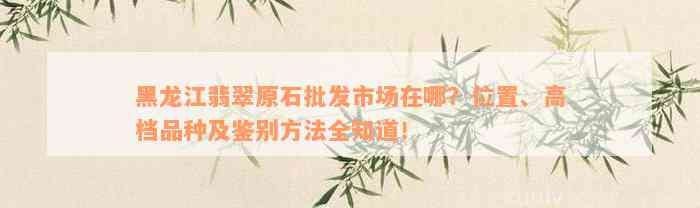 黑龙江翡翠原石批发市场在哪？位置、高档品种及鉴别方法全知道！