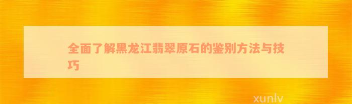 全面了解黑龙江翡翠原石的鉴别方法与技巧