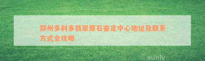 郑州多利多翡翠原石鉴定中心地址及联系方式全攻略