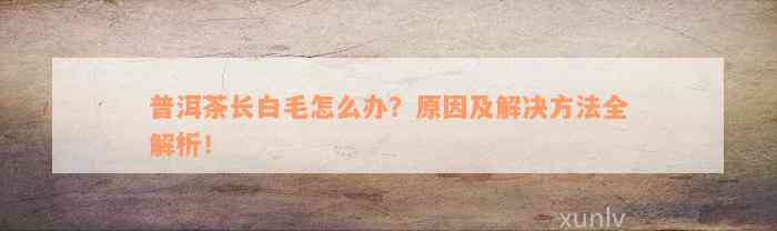 普洱茶长白毛怎么办？原因及解决方法全解析！