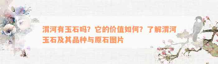 渭河有玉石吗？它的价值如何？了解渭河玉石及其品种与原石图片