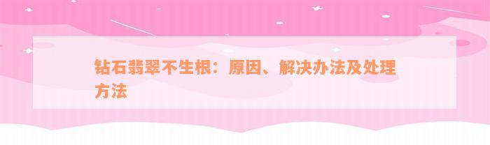 钻石翡翠不生根：原因、解决办法及处理方法