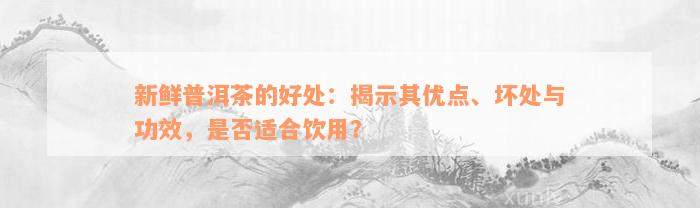 新鲜普洱茶的好处：揭示其优点、坏处与功效，是否适合饮用？