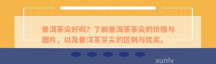 普洱茶尖好吗？了解普洱茶茶尖的价格与图片，以及普洱茶芽尖的区别与优劣。