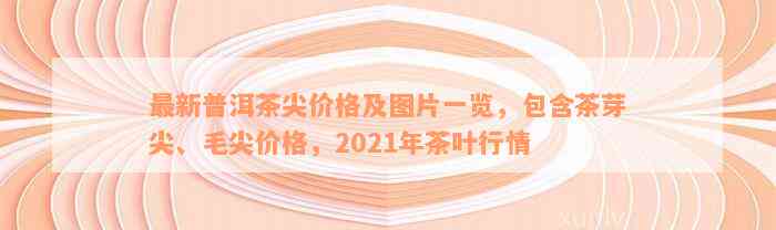 最新普洱茶尖价格及图片一览，包含茶芽尖、毛尖价格，2021年茶叶行情