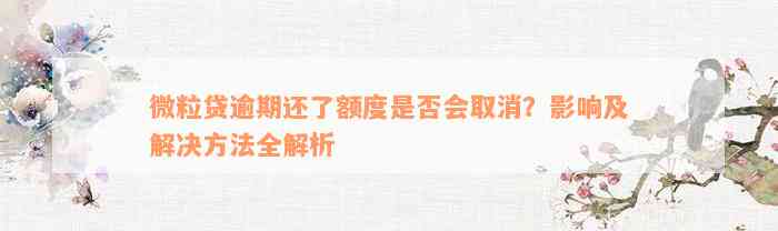 微粒贷逾期还了额度是否会取消？影响及解决方法全解析