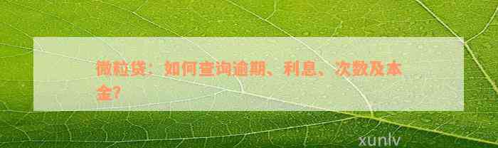 微粒贷：如何查询逾期、利息、次数及本金？