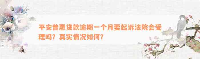 平安普惠贷款逾期一个月要起诉法院会受理吗？真实情况如何？