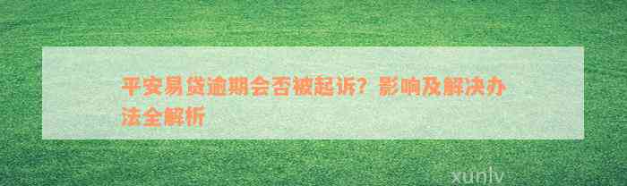 平安易贷逾期会否被起诉？影响及解决办法全解析