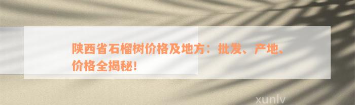 陕西省石榴树价格及地方：批发、产地、价格全揭秘！