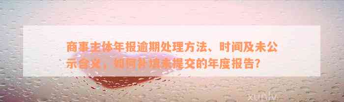 商事主体年报逾期处理方法、时间及未公示含义，如何补填未提交的年度报告？