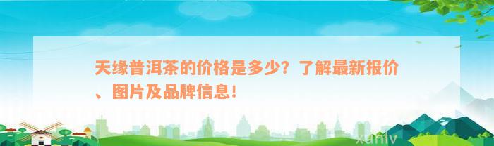 天缘普洱茶的价格是多少？了解最新报价、图片及品牌信息！