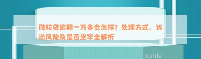 微粒贷逾期一万多会怎样？处理方式、诉讼风险及是否坐牢全解析