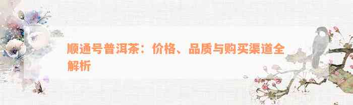 顺通号普洱茶：价格、品质与购买渠道全解析