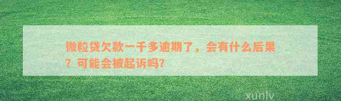 微粒贷欠款一千多逾期了，会有什么后果？可能会被起诉吗？