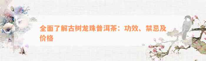 全面了解古树龙珠普洱茶：功效、禁忌及价格