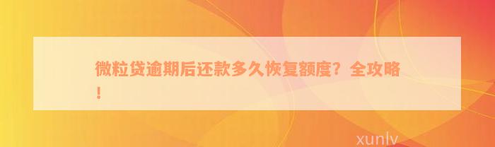 微粒贷逾期后还款多久恢复额度？全攻略！