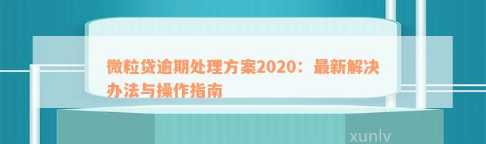 微粒贷逾期处理方案2020：最新解决办法与操作指南