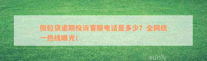 微粒贷逾期投诉客服电话是多少？全网统一热线曝光！