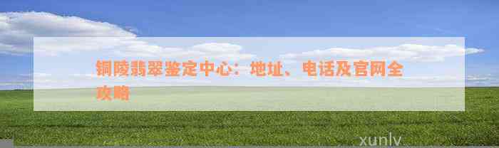 铜陵翡翠鉴定中心：地址、电话及官网全攻略