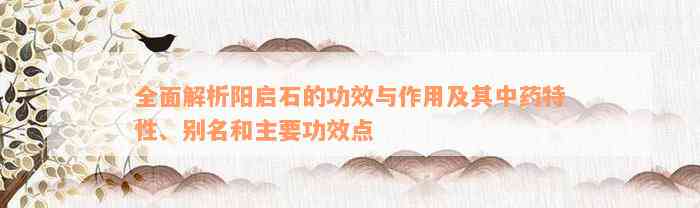 全面解析阳启石的功效与作用及其中药特性、别名和主要功效点