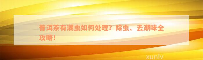 普洱茶有潮虫如何处理？除虫、去潮味全攻略！