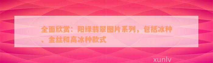 全面欣赏：阳绿翡翠图片系列，包括冰种、金丝和高冰种款式