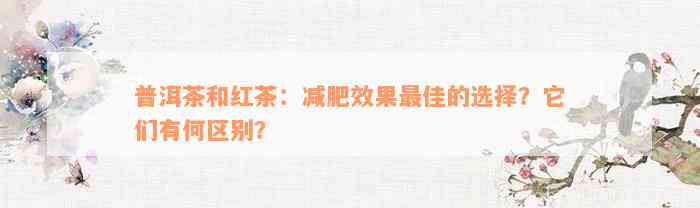 普洱茶和红茶：减肥效果最佳的选择？它们有何区别？