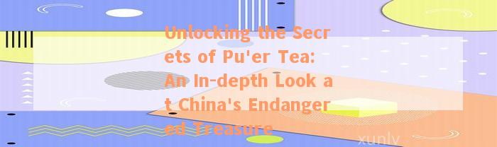 Unlocking the Secrets of Pu'er Tea: An In-depth Look at China's Endangered Treasure