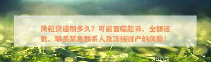 微粒贷逾期多久？可能面临起诉、全额还款、联系紧急联系人及冻结财产的风险！