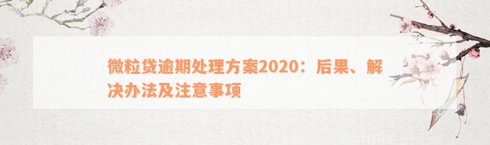 微粒贷逾期处理方案2020：后果、解决办法及注意事项