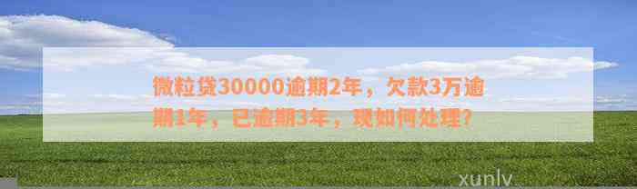 微粒贷30000逾期2年，欠款3万逾期1年，已逾期3年，现如何处理？