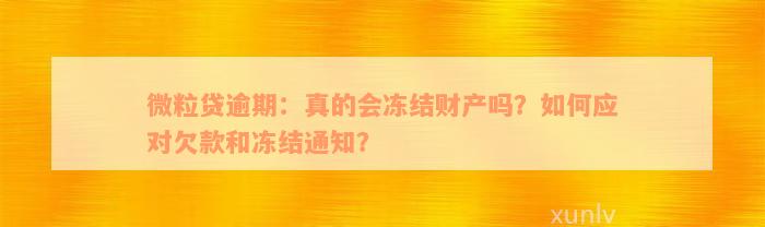 微粒贷逾期：真的会冻结财产吗？如何应对欠款和冻结通知？