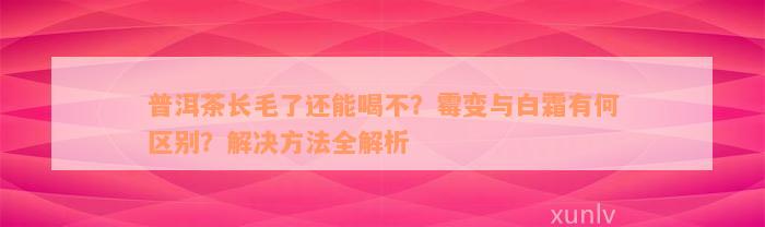 普洱茶长毛了还能喝不？霉变与白霜有何区别？解决方法全解析