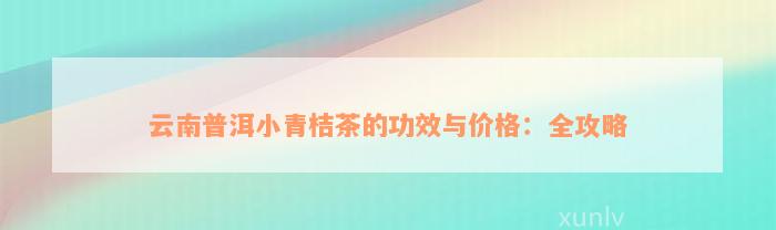 云南普洱小青桔茶的功效与价格：全攻略