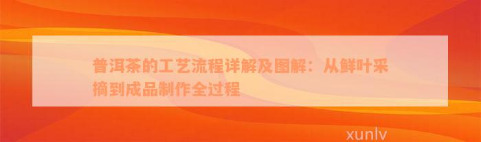 普洱茶的工艺流程详解及图解：从鲜叶采摘到成品制作全过程