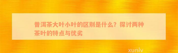 普洱茶大叶小叶的区别是什么？探讨两种茶叶的特点与优劣