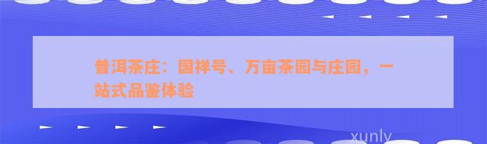 普洱茶庄：国祥号、万亩茶园与庄园，一站式品鉴体验