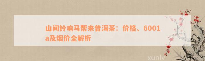 山间铃响马帮来普洱茶：价格、6001a及烟价全解析