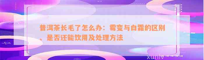 普洱茶长毛了怎么办：霉变与白霜的区别、是否还能饮用及处理方法